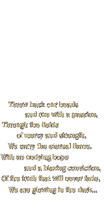 main3.jpg (1202 bytes)